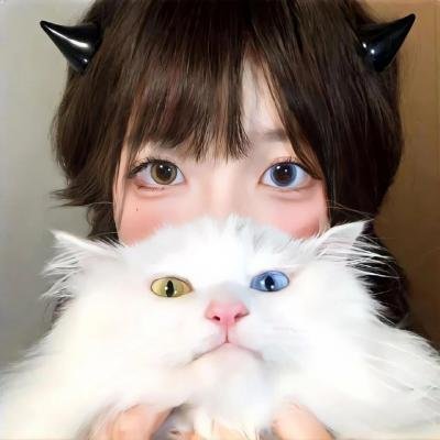 错位囧途